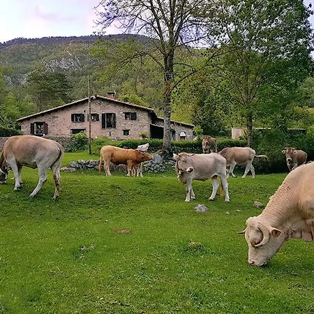 Hauzify I Domus Molina La Molina (Girona)